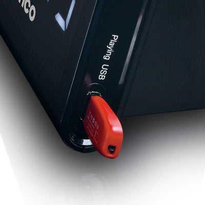 Lenco CR-525BK - Radio-réveil FM avec lecteur USB et chargeur USB - Noir